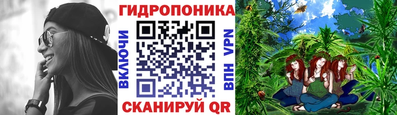 Как найти наркотики Краснослободск A-PVP  Конопля  Меф мяу мяу  ГАШ  КОКАИН 