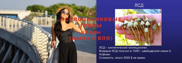 винт Кодинск