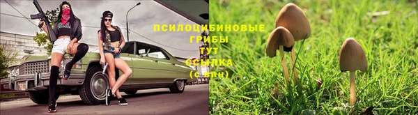 круглые Козельск