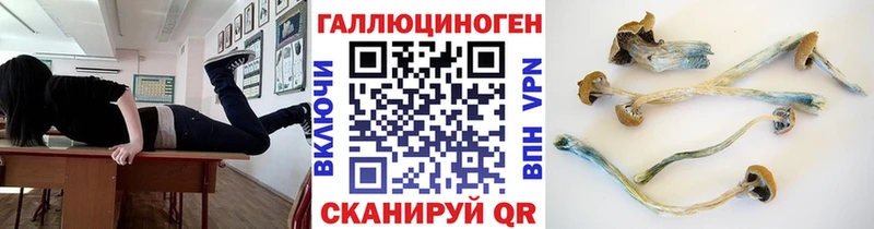 Псилоцибиновые грибы мухоморы  даркнет наркотические препараты  Краснослободск  даркнет сайт 